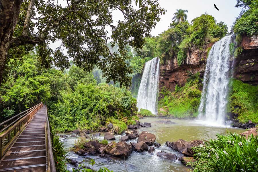 Iguazú Falls: The Natural Wonder of Argentina - Riding the Ecological Jungle Train to Devil’s Throat