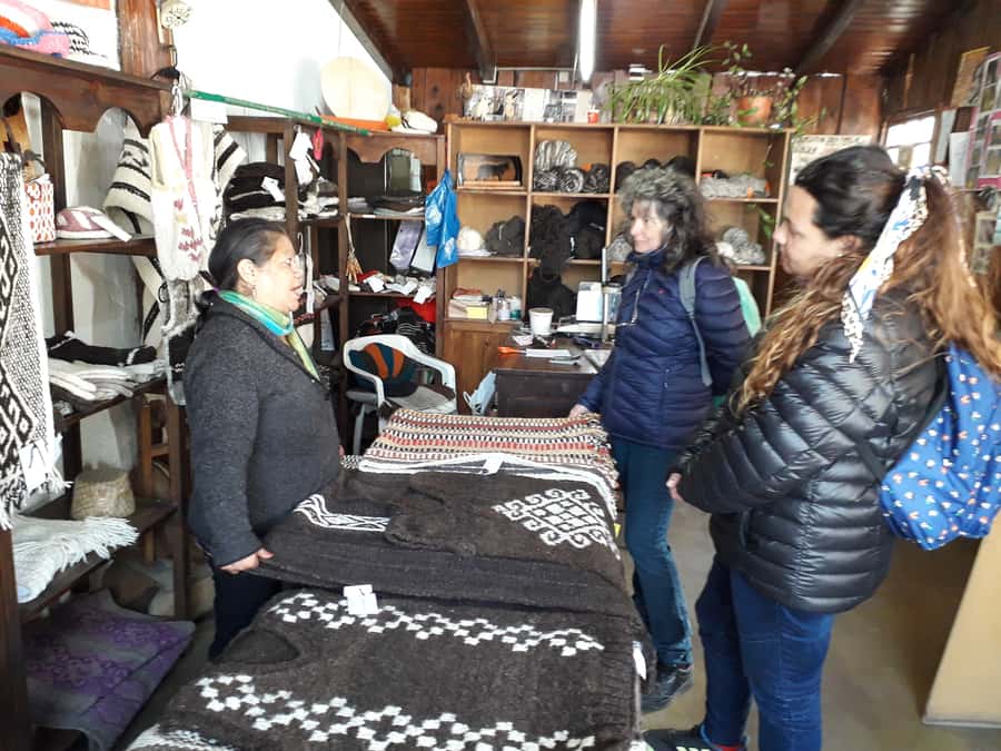 Indigenous People of Patagonia History Tour - Who will enjoy this Bariloche walk?