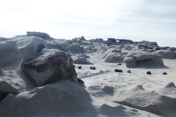 Ischigualasto National Park - Moon Valley - The fossil story behind the strange rocks