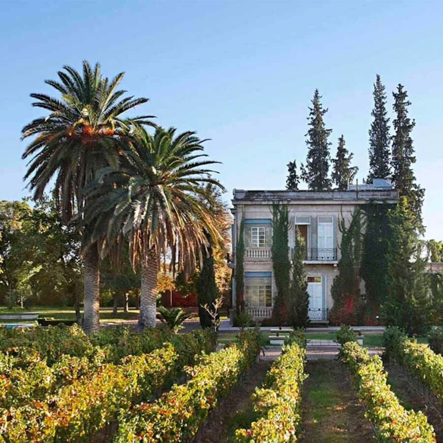 Luigi Bosca Winery Tour with Wine Tasting and Lunch - Key points at a glance