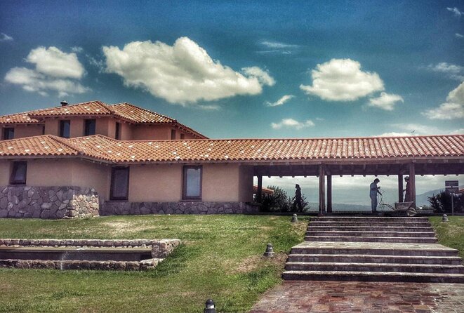 Lujan Deluxe - Full day - Premium Wine Tour with Gourmet Lunch - Who should book this tour?