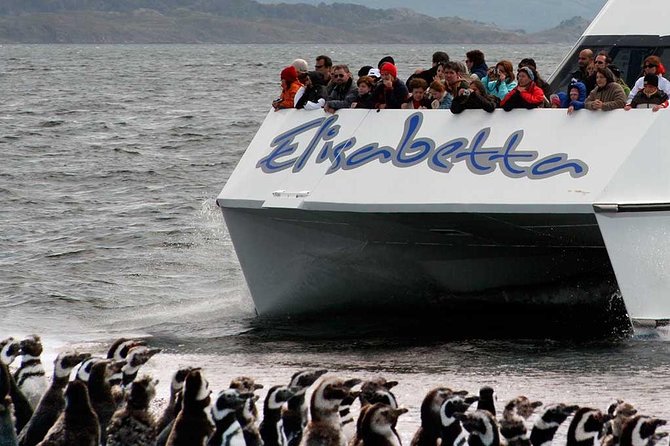 Martillo Island: Boat Trip to the Penguin Colony & Beagle Channel - Bridges Islands: sea lions and seabirds
