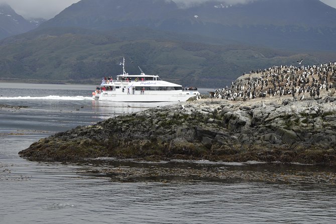 Martillo Island: Boat Trip to the Penguin Colony & Beagle Channel - Watching the Magellanic penguins from the boat