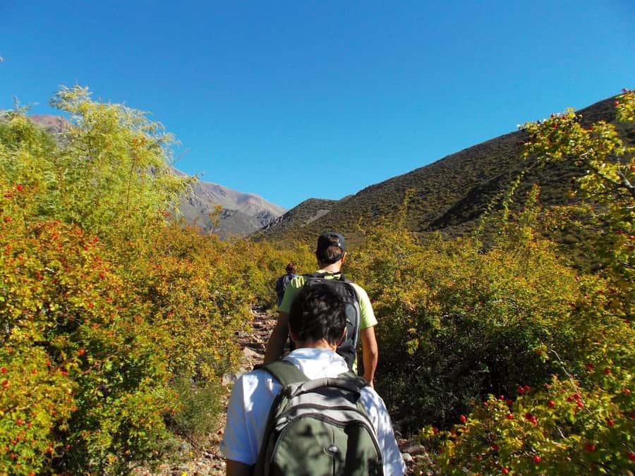 Mendoza: 4-Hour Mountain Trekking With Lunch - Key points to know before you book