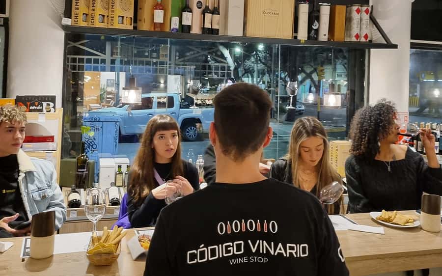Mendoza: Classic Wine Tasting - A Mendoza wine tasting without the long drive