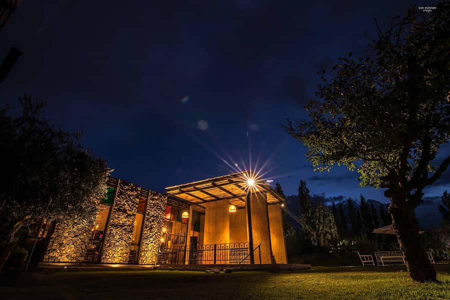 Mendoza: El Enemigo and Casa Vigil Wine Tour - Key points to know
