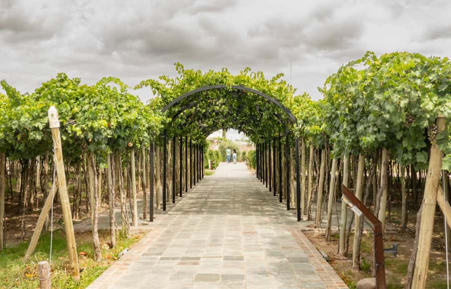 Mendoza: El Enemigo and Casa Vigil Wine Tour - Casa Vigil is more than a tasting room
