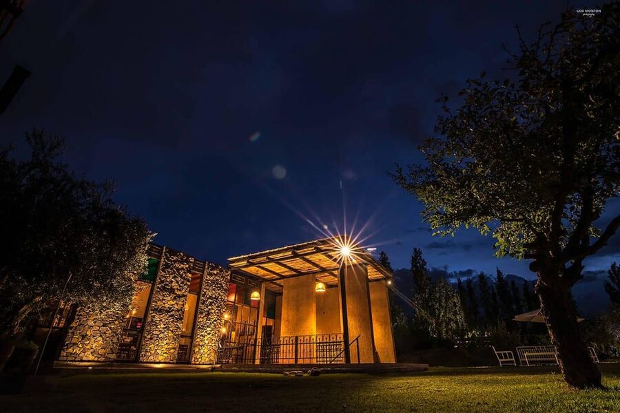 Mendoza: El Enemigo and Casa Vigil Wine Tour - A local guide gives the setting context