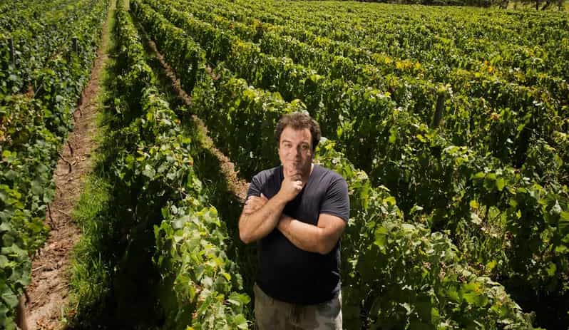Mendoza: El Enemigo and Casa Vigil Wine Tour - Price, flexibility, and practical planning
