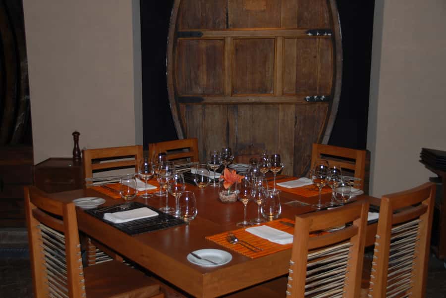 Mendoza: Full Day Wine Tour with 3 Course Lunch - Who should book this wine tour?