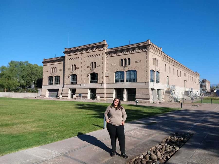 Mendoza: Full Day Wine Tour with 3 Course Lunch - What the morning pickup is like