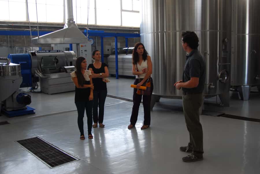 Mendoza: Full Day Wine Tour with 3 Course Lunch - At the first winery, production comes before the glass
