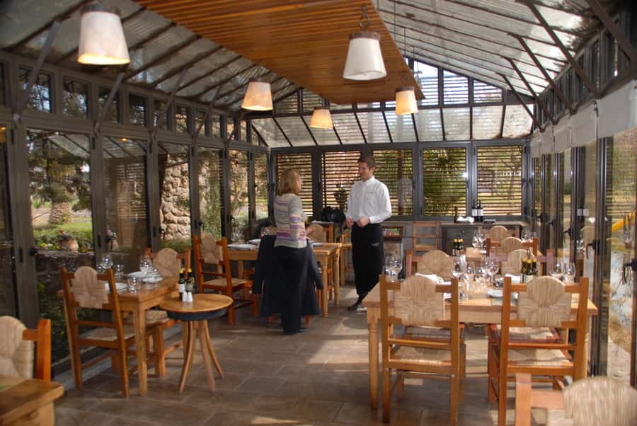Mendoza: Full Day Wine Tour with 3 Course Lunch - Practical details that affect your day