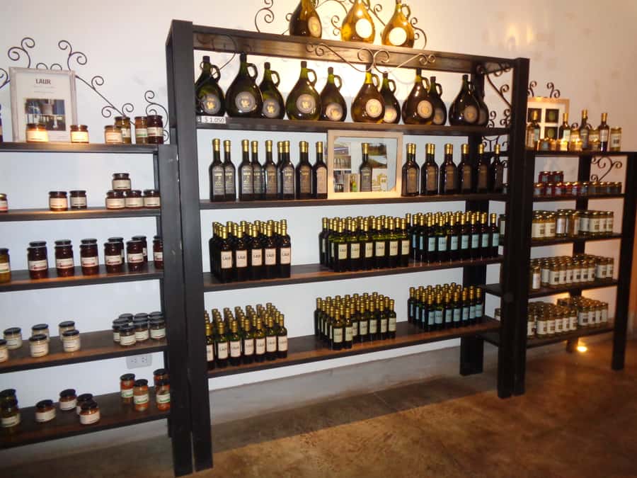 Mendoza: Half-Day Wine Tour with Tastings - Key points to know before booking