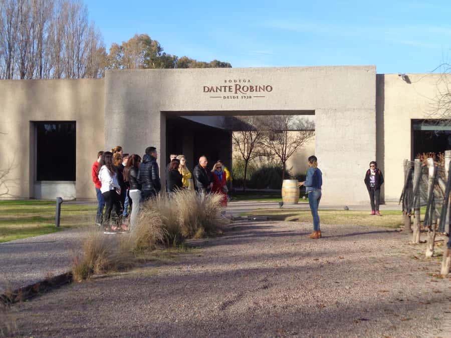 Mendoza: Half-Day Wine Tour with Tastings - Maipú and Luján de Cuyo: two wine areas, one changing route