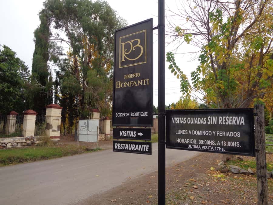 Mendoza: Half-Day Wine Tour with Tastings - What $43 buys you in Mendoza
