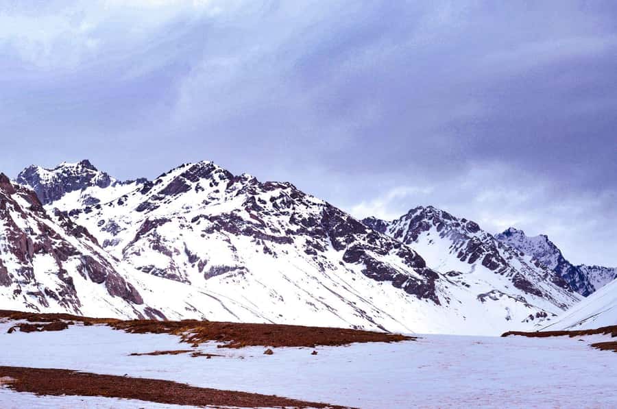 Mendoza: High Mountain Experience, a Tour through the Andes - Meeting Aconcagua at 2,750 meters