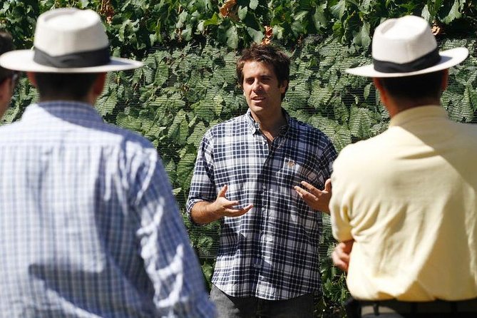 Mendoza Hop-On Hop-Off Wine Tour - Picking the right weekday route