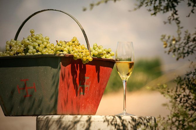 Mendoza Hop-On Hop-Off Wine Tour - Guide quality and language