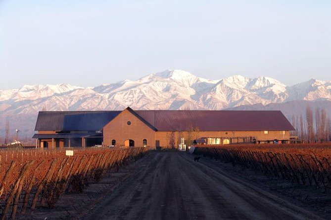 Mendoza Hop-On Hop-Off Wine Tour - Full day or half day?