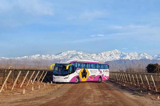 Mendoza Hop-On Hop-Off Wine Tour - The practical value of $40