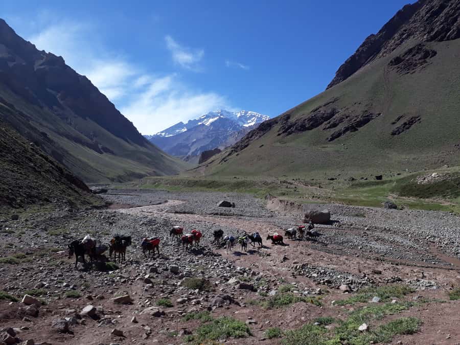 Mendoza: Mt. Aconcagua Confluencia Camp Trekking - Why Confluencia is the right Aconcagua introduction