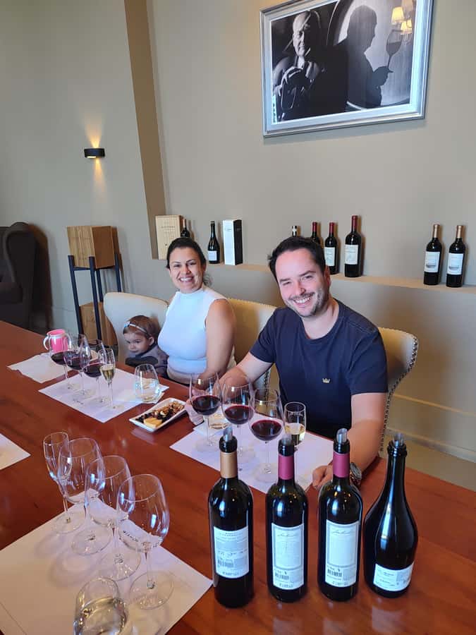Mendoza's top wineries ! All Inclusive Private Tours! - Why this private Mendoza wine day works well