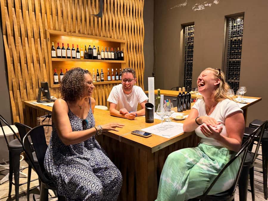 Mendoza's top wineries ! All Inclusive Private Tours! - Who should book this experience