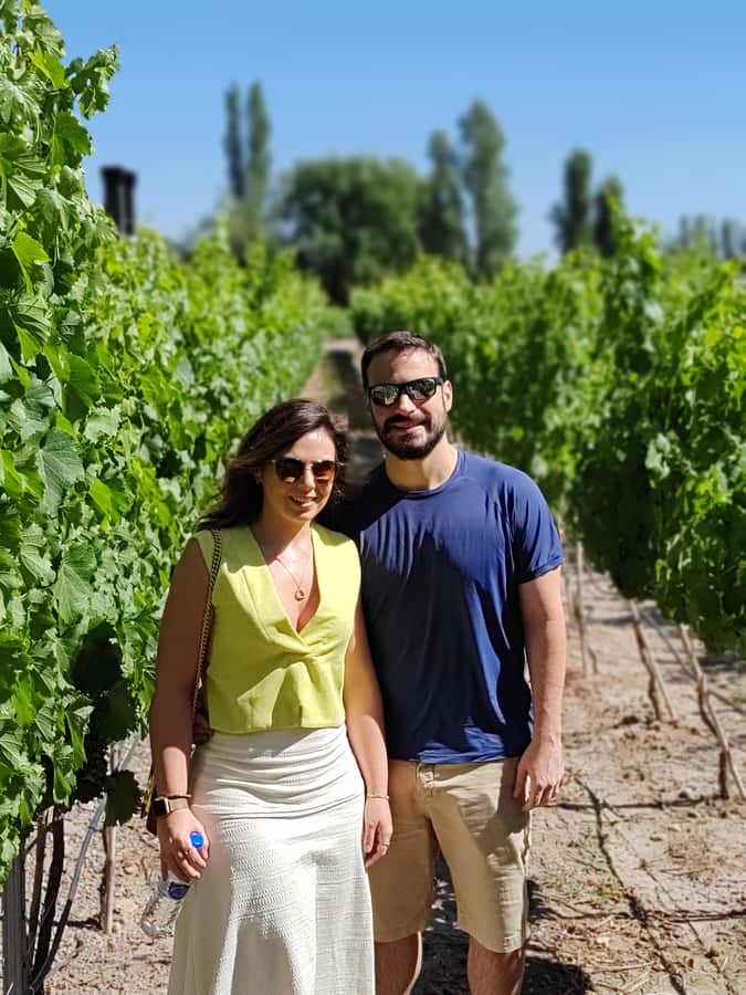 Mendoza's top wineries ! All Inclusive Private Tours! - Choosing between Luján de Cuyo, Maipú, and Uco Valley