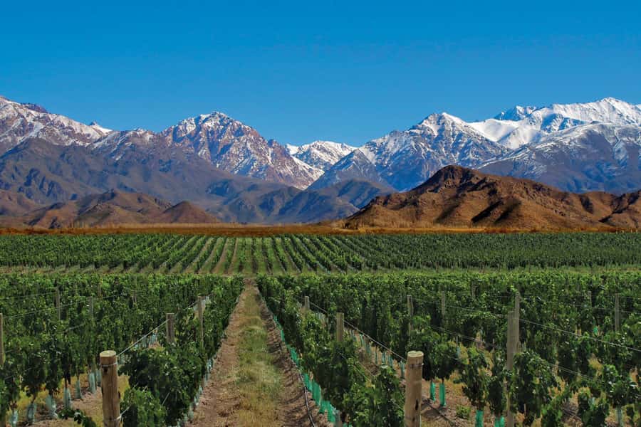 Mendoza: Small-Group Wineries Tour with Tasting and Lunch - Mendoza wine country, built by water