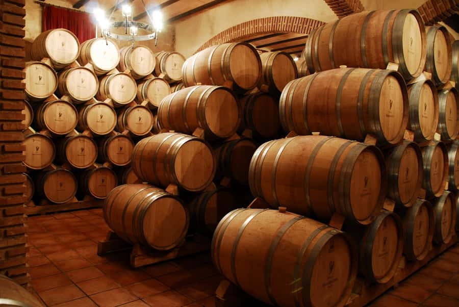 Mendoza: Small-Group Wineries Tour with Tasting and Lunch - Inside the first winery