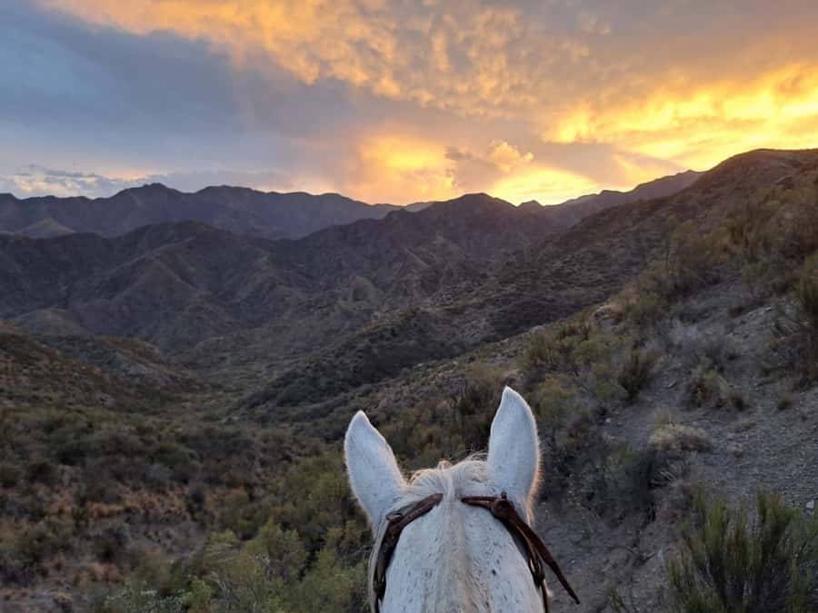 Mendoza: Sunset Horse Back Riding in the Mountains and BBQ - The climb toward the 2,100-meter viewpoint