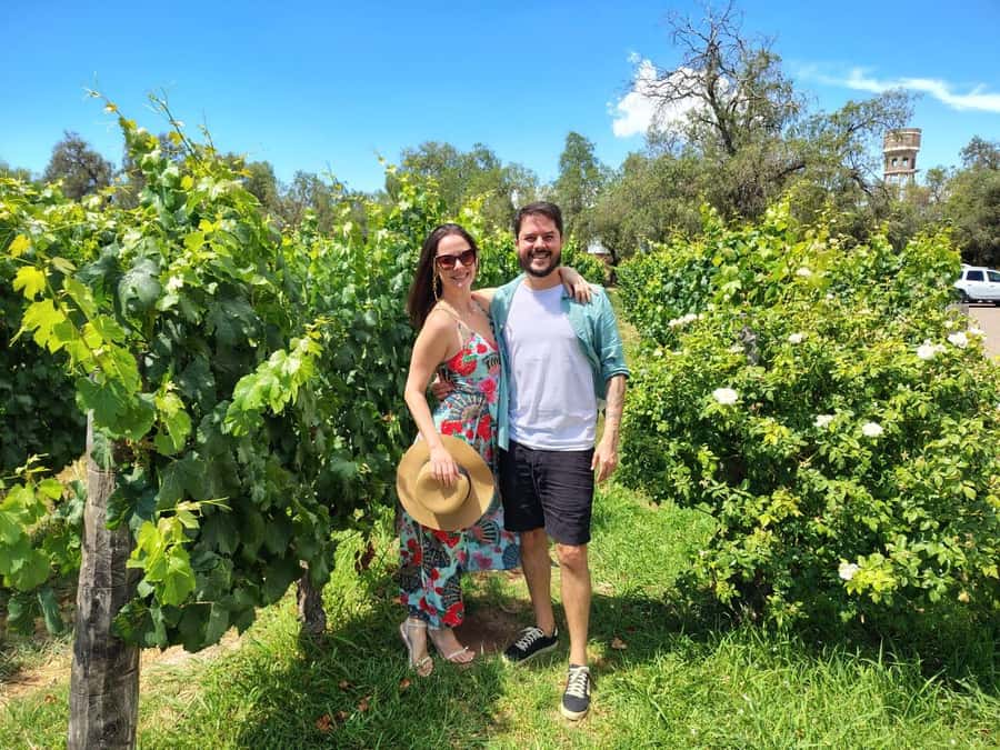 Mendoza: Top Wineries Guided Tour with Transportation - The guides are a major part of the value