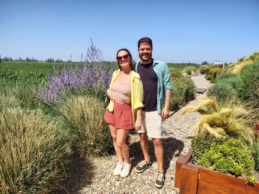 Mendoza: Top Wineries Guided Tour with Transportation - Is the $140 group price a good deal?