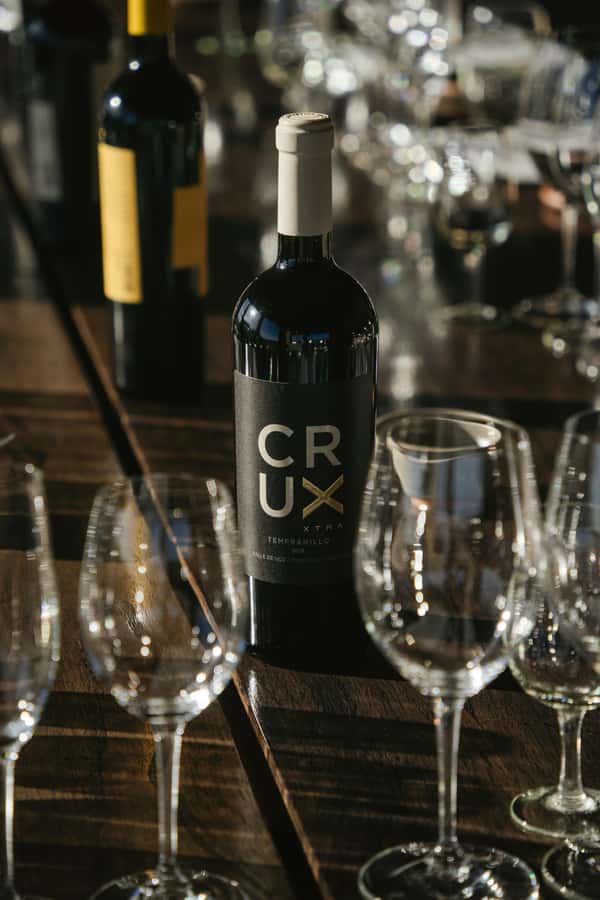 Mendoza: Tour with tasting and lunch High Altitude Wineries - Who will enjoy this day most?