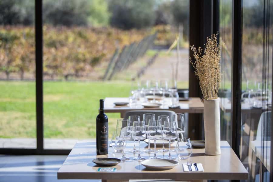 Mendoza: Wine Tasting Tour with Lunch and Private Transport - What This Mendoza Wine Day Really Includes