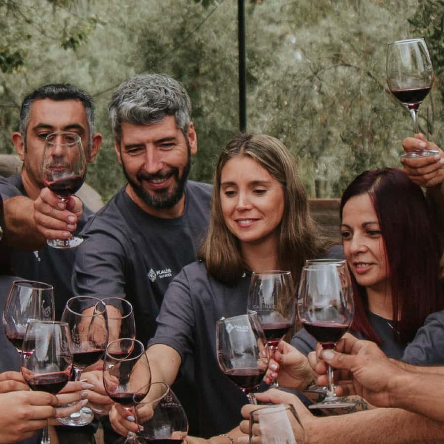 Mendoza: Wine Tasting Tour with Lunch and Private Transport - Pickup, Private Transport, and the Day’s Pace