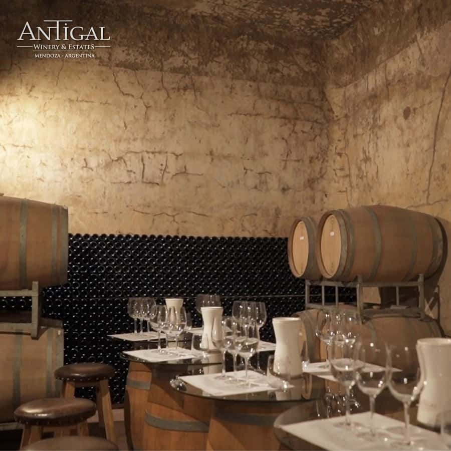 Mendoza: Wine Tasting Tour with Lunch and Private Transport - Second Winery: More Tasting, More Comparison