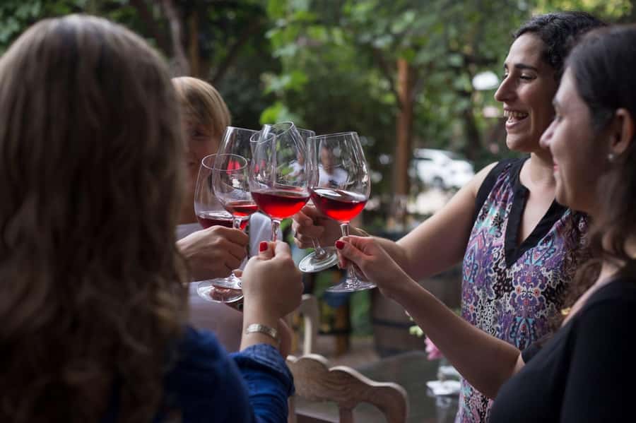 Mendoza: Wine Tasting Tour with Lunch and Private Transport - Lunch at Antigal, Tempus Alba, or Hacienda del Plata