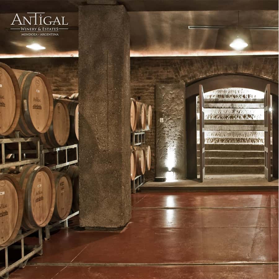 Mendoza: Wine Tasting Tour with Lunch and Private Transport - Wine, Andes Views, and the Mendoza Setting