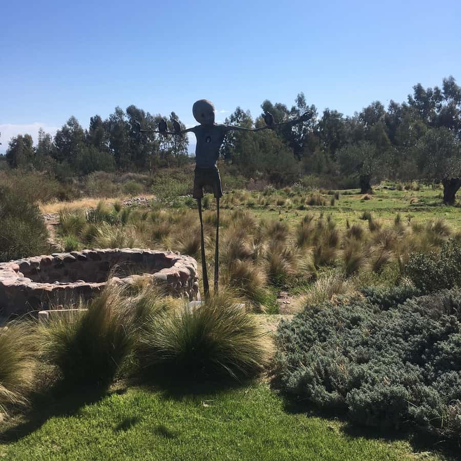 Mendoza: Wine Tasting Tour with Lunch and Private Transport - Language, Group Size, and What to Clarify