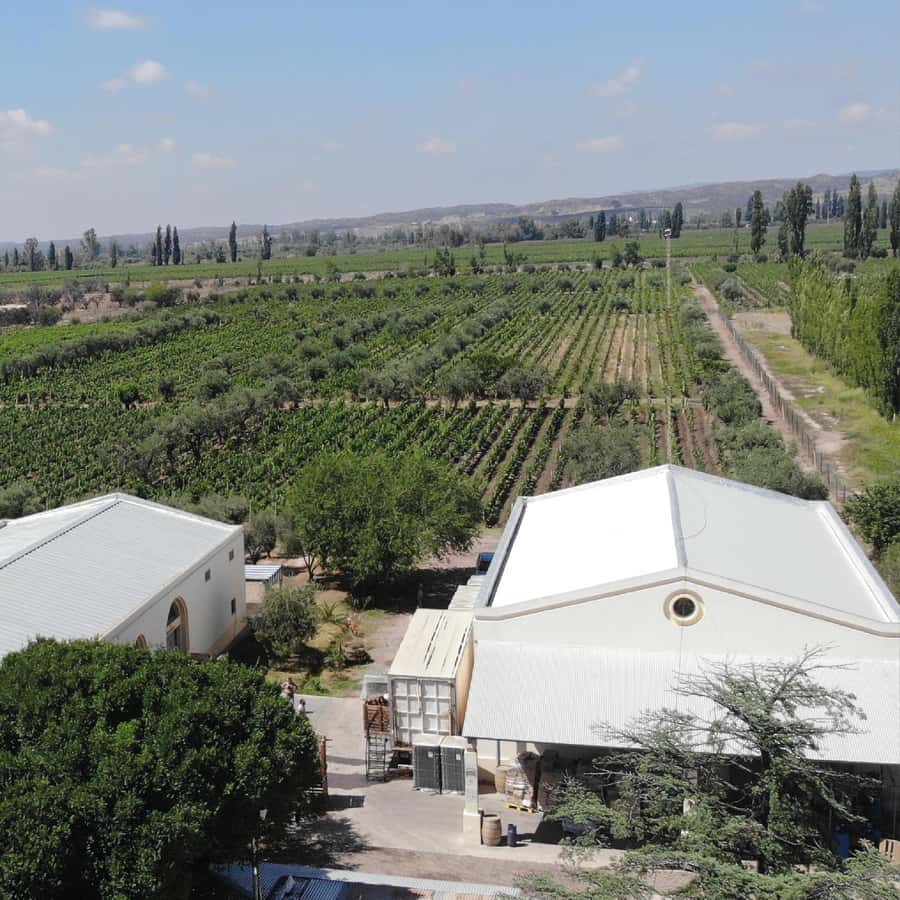 Mendoza: Wine Tasting Tour with Lunch and Private Transport - Who Should Book This Wine Tour?