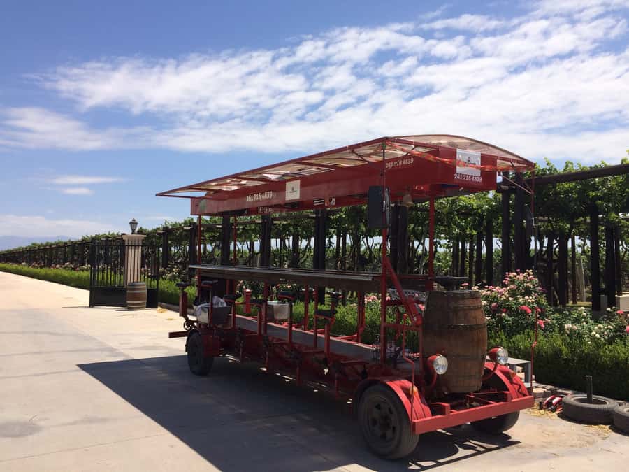 Mendoza: Winebike Tasting Tour with Optional Lunch - Pedaling with ham, cheese, and mountain views