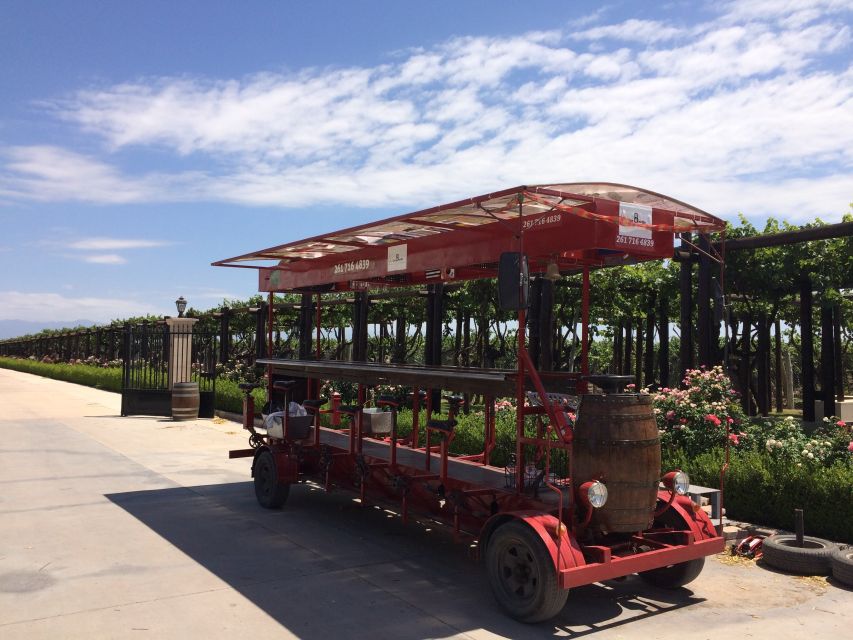 Mendoza: Winebike Tasting Tour with Optional Lunch - What to bring and how to prepare