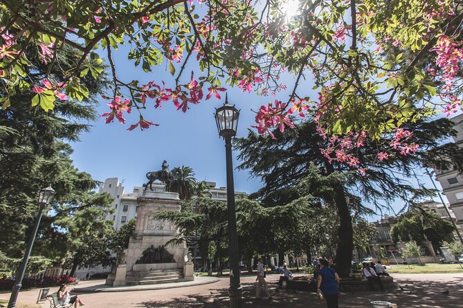 Montevideo Private Full Day Tour from Buenos Aires - Carrasco, Arocena, and Montevideo’s polished side