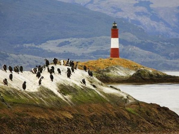 Navigate through the Beagle Channel: Seal, Bird & Penguin Islands - The highlights at a glance