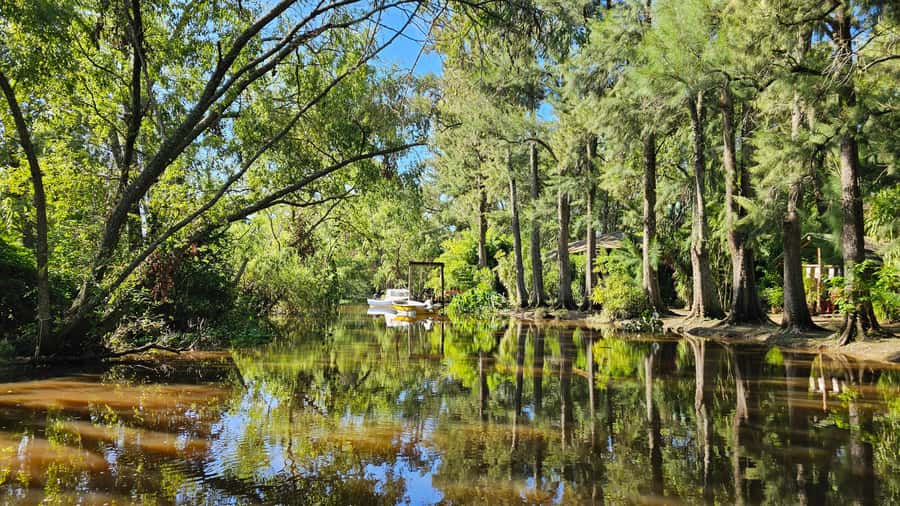 Navigation in Delta of Tigre - Exclusive semi private tour - Pickup in Buenos Aires and the ride to Tigre