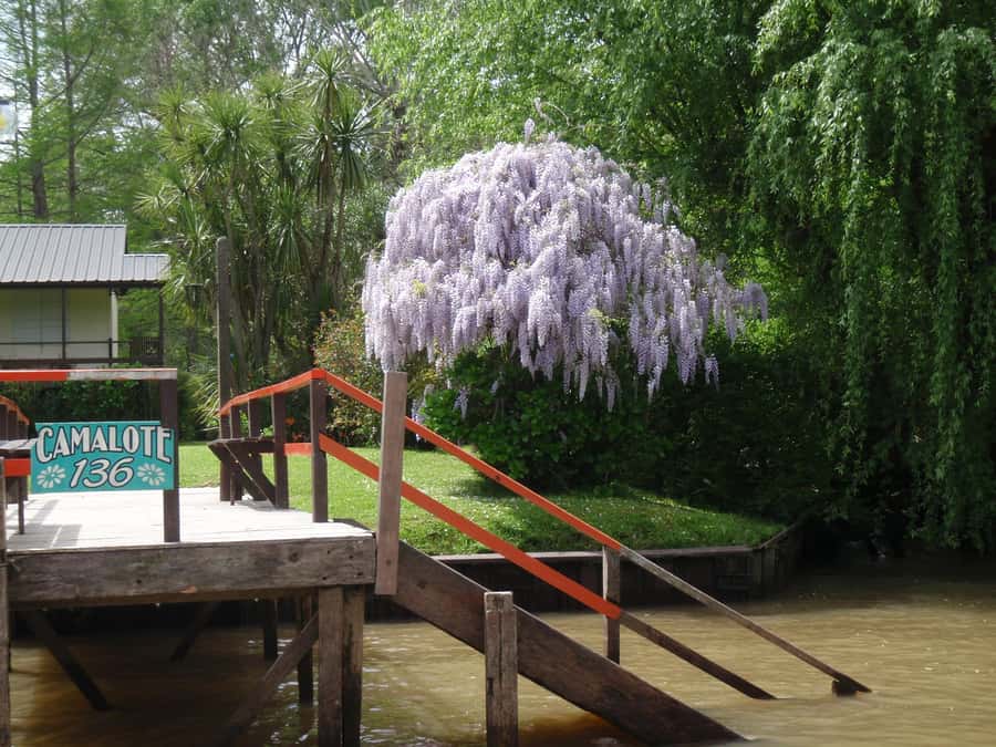 Navigation in Delta of Tigre - Exclusive semi private tour - Swimming in summer