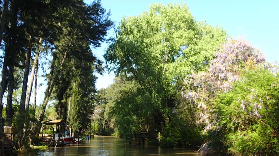 Navigation in Delta of Tigre - Exclusive semi private tour - Comfort, weather, and who should skip it