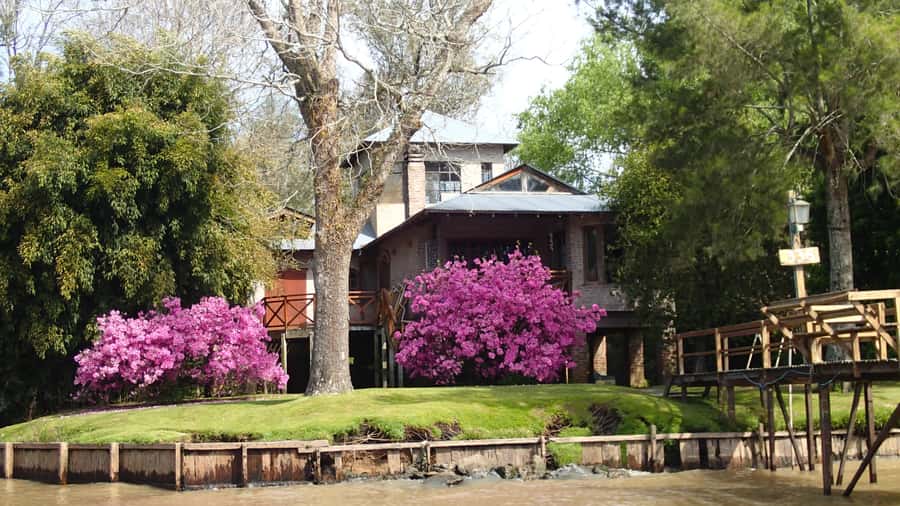 Navigation in Delta of Tigre - Exclusive semi private tour - Enrique, Martin, and the personal style